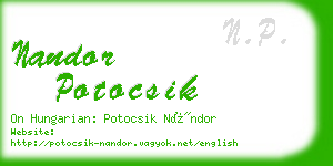 nandor potocsik business card